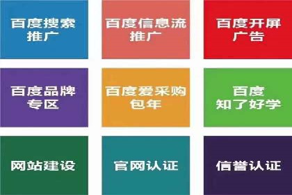 案例解读：百度推广代运营公司助力行业翘楚